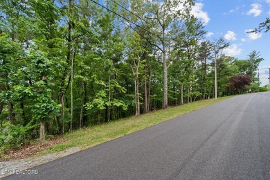 Spectacular Lakefront Lot with lake and Golf Course Views. Enjoy - photo 19
