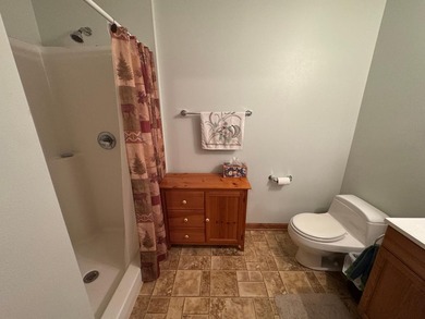 Lake Nokomis living! Look at this 4 bedroom 3 1/2 bath home with - photo 22