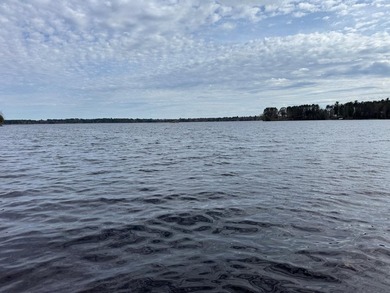 Lake Nokomis living! Look at this 4 bedroom 3 1/2 bath home with - photo 32