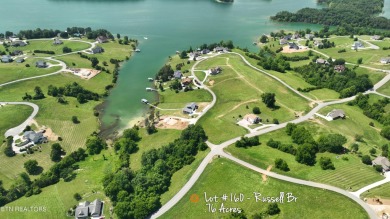 A stellar lot at a great price! In the center of it all! .76 - Lake Lot For Sale in Sharps Chapel, Tennessee