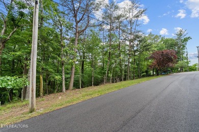 Spectacular Lakefront Lot with Lake and Golf Course Views - photo 14