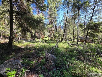 Perched above Williams Lake just outside Salmon, ID, this fully - photo 22
