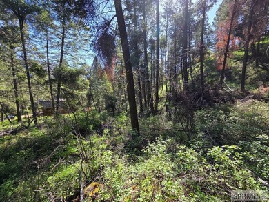 Perched above Williams Lake just outside Salmon, ID, this fully - photo 23