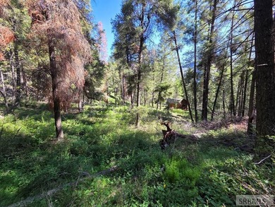Perched above Williams Lake just outside Salmon, ID, this fully - photo 24
