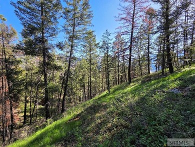 Perched above Williams Lake just outside Salmon, ID, this fully - photo 25