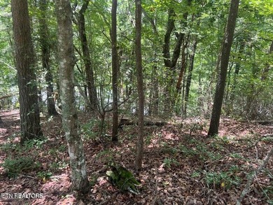 Spectacular Lakefront Lot with Lake and Golf Course Views - photo 26