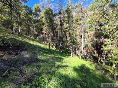 Perched above Williams Lake just outside Salmon, ID, this fully - photo 26