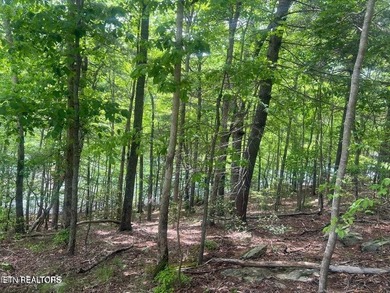 Spectacular Lakefront Lot with Lake and Golf Course Views - photo 27