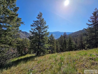 Perched above Williams Lake just outside Salmon, ID, this fully - photo 27