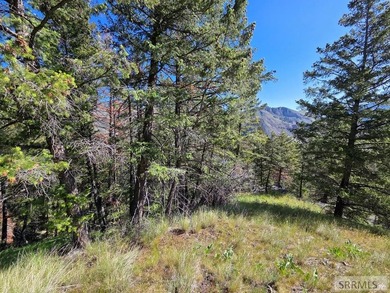 Perched above Williams Lake just outside Salmon, ID, this fully - photo 28