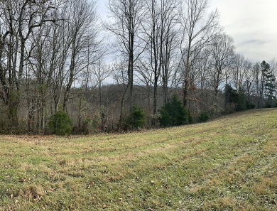 Level 1.6 Acre Russell Springs Building Lot - Lake Lot For Sale in Russell Springs, Kentucky