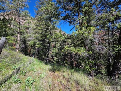 Perched above Williams Lake just outside Salmon, ID, this fully - photo 29