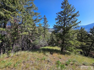 Perched above Williams Lake just outside Salmon, ID, this fully - photo 30