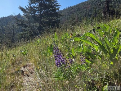 Perched above Williams Lake just outside Salmon, ID, this fully - photo 31