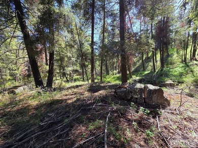 Perched above Williams Lake just outside Salmon, ID, this fully - photo 32