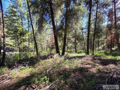 Perched above Williams Lake just outside Salmon, ID, this fully - photo 33