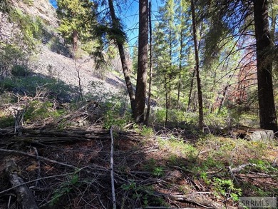 Perched above Williams Lake just outside Salmon, ID, this fully - photo 34