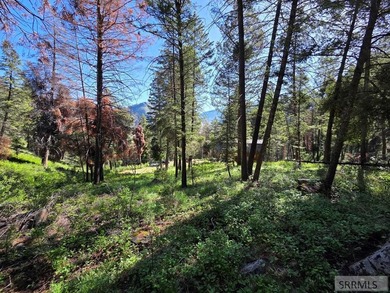 Perched above Williams Lake just outside Salmon, ID, this fully - photo 35