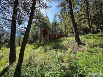 Perched above Williams Lake just outside Salmon, ID, this fully - photo 36