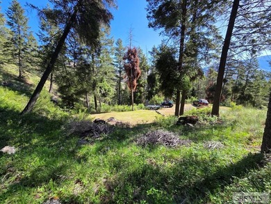Perched above Williams Lake just outside Salmon, ID, this fully - photo 38