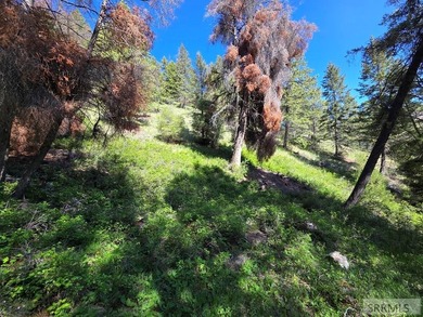 Perched above Williams Lake just outside Salmon, ID, this fully - photo 39
