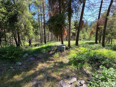 Perched above Williams Lake just outside Salmon, ID, this fully - photo 44