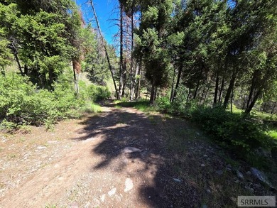 Perched above Williams Lake just outside Salmon, ID, this fully - photo 45