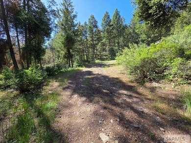 Perched above Williams Lake just outside Salmon, ID, this fully - photo 46