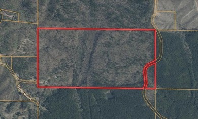 *1386+/- Sq Ft Home *3 Bed/3 Bath *80+/- Acres *Central Heat & - photo 2