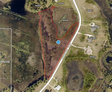 Clermont Chain of Lakes Acreage For Sale in Clermont Florida