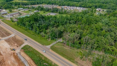 DEVELOPMENT OPPORTUNITY! This 3.16 acre parcel is located inside - photo 7