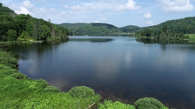 Domaine Ogilvie -- Anse Ogilvie #7 - Large building-ready lot - photo 2