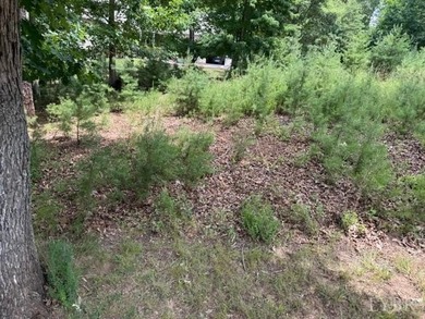Water Front lot, inside Large Cove, Beautiful homes nearby - photo 1