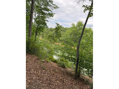 Water Front lot, inside Large Cove, Beautiful homes nearby - photo 4