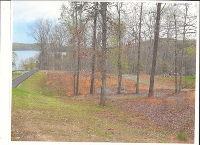 Water Front lot, inside Large Cove, Beautiful homes nearby - photo 5