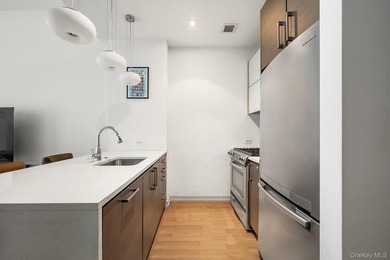 Welcome to Residence 1I at 21-45 44th Drive - a stylish 524 sq - photo 4