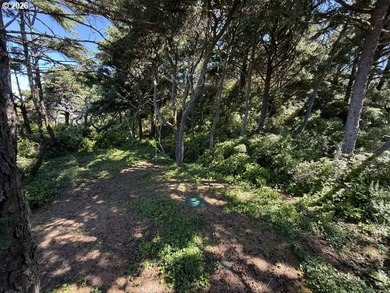 Welcome to your fully furnished Oregon Coast getaway with an - photo 25