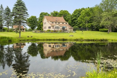 Set on 9 pastoral acres overlooking a swimmable spring fed pond - photo 4