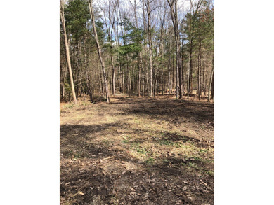 (private lake, pond, coastal) Lot For Sale in Milford New York
