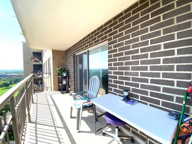 Spacious and bright condo unit with East Skyline Views of the - photo 4