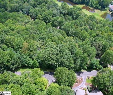 Prestigious 1-Acre Homesite in the Exclusive Cliffs at Glassy - photo 3