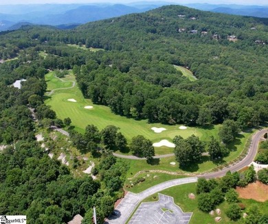 Prestigious 1-Acre Homesite in the Exclusive Cliffs at Glassy - photo 4