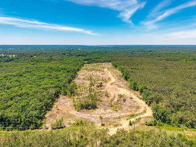 40.00 acres of recreational land located just northeast of - photo 1