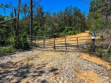 40.00 acres of recreational land located just northeast of - photo 2