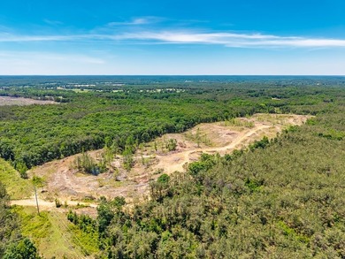 40.00 acres of recreational land located just northeast of - photo 3