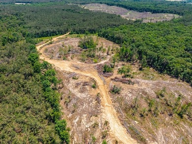 40.00 acres of recreational land located just northeast of - photo 4