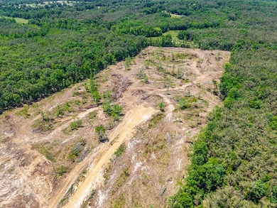 40.00 acres of recreational land located just northeast of - photo 5