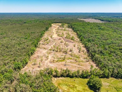 40.00 acres of recreational land located just northeast of - photo 7