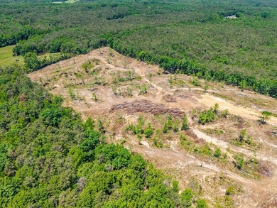 40.00 acres of recreational land located just northeast of - photo 9