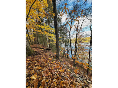 Connecticut River - Windsor County Acreage For Sale in Springfield Vermont